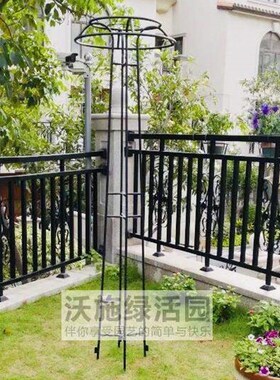 新品包邮蘑菇爬藤架园艺花架庭院花园伞型爬藤花架铁线莲牵牛铁艺