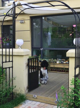 花园植物拱门花架欧式庭院铁艺户外月季铁线莲攀爬支架爬藤架包邮