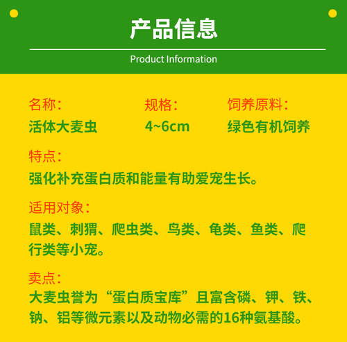 大麦虫活虫500g包邮鲜活面包虫黄粉虫金龙鱼饲料食活体高蛋白虫子 - 图0