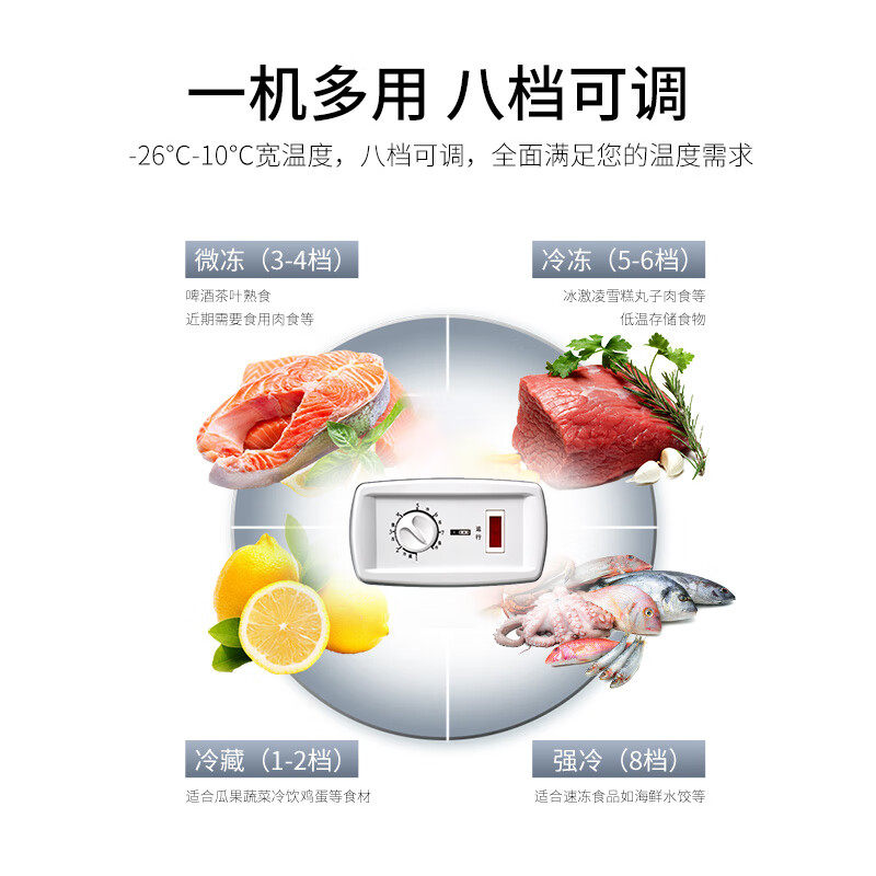 澳柯玛100升h家用小型迷你小冰箱 名丰电器冷柜