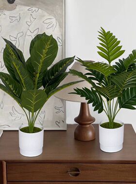 仿真绿植盆景北欧龟背假绿植盆栽客厅ins风装饰品桌面家居小摆件