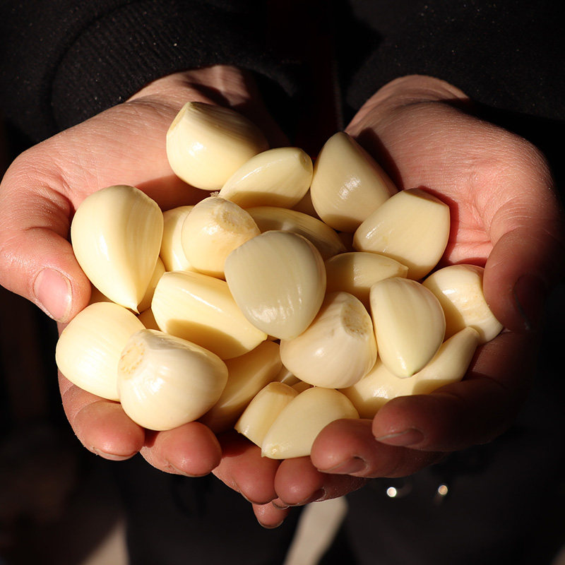 苍山蒜米去皮5斤装山东新鲜大蒜头手工剥皮去皮干蒜子新蒜瓣餐饮