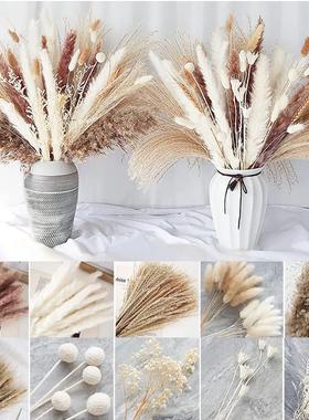 Natural Plant Dried Pampas Grass Bouquet Boho Reed Dried Flo