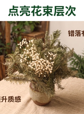 绿干杉树叶布景花艺造景插花配叶