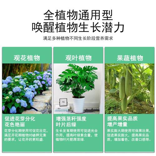 花肥磷酸二氢钾肥料花卉专用家用营养水溶叶面磷钾肥养花果蔬植物-图1