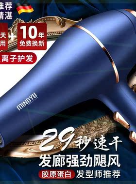 吹风机发廊家用宿舍吹头发大风筒速干电吹风负离子冷热风不伤发