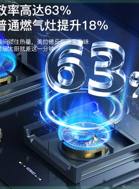 德国燃气灶双灶家用嵌入式天然气灶台式液化气灶煤气灶双灶猛火炉