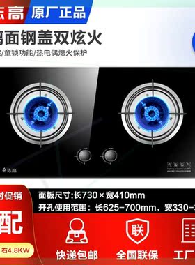 燃气灶家用厨房猛火灶台嵌两用天然气灶液化气煤气灶九腔爆炒