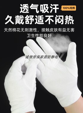 钱币纸钞收藏专用纯棉手套