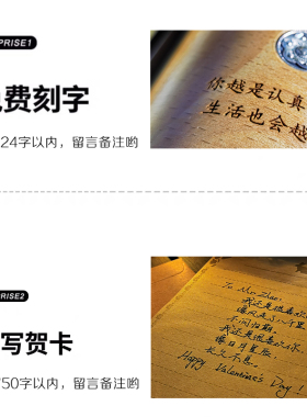雏菊标本水晶球音乐盒