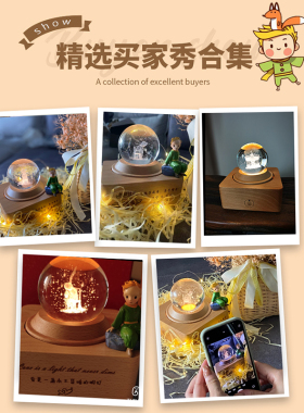 小王子水晶球鸟之诗音乐盒摆件