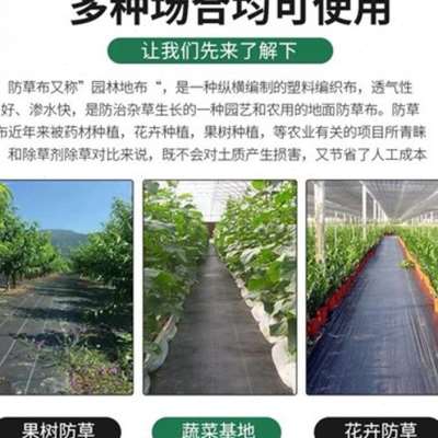 防草布除草布农用果园耐用遮草布果园地膜抗老化保湿园艺地垫地钉 - 图1