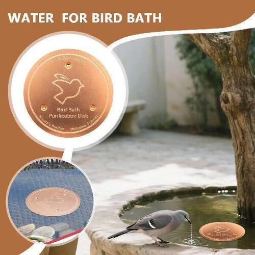 Universal Bird Bath Copper Disk With 3 Point Support Bird - 图0