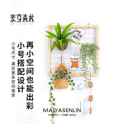 春季清仓阳台网格花架置物架实木悬挂壁挂式幼儿园植物绿植挂墙架 - 图1