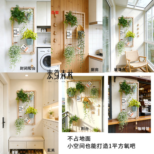 春季清仓阳台网格花架置物架实木悬挂壁挂式幼儿园植物绿植挂墙架 - 图2