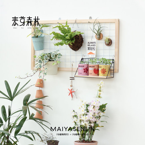 春季清仓阳台网格花架置物架实木悬挂壁挂式幼儿园植物绿植挂墙架 - 图0
