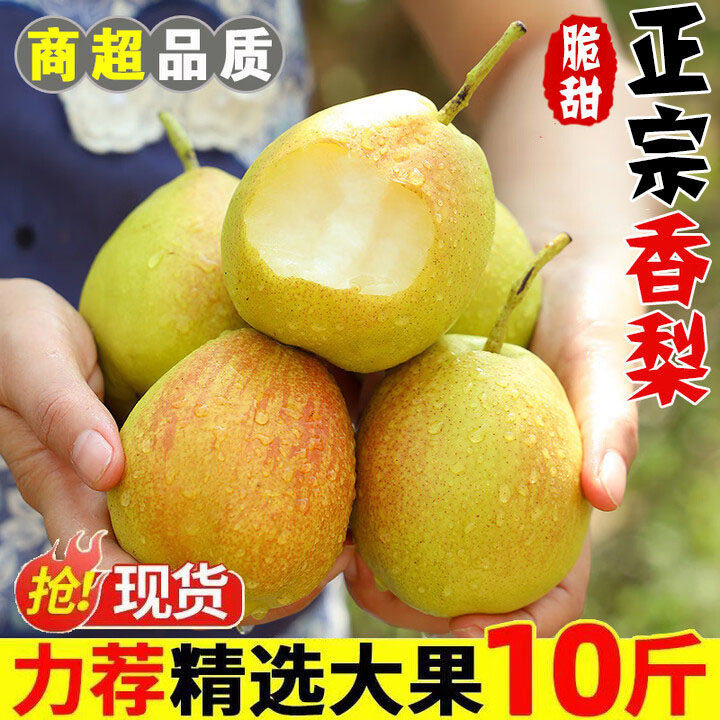 香梨当季水果梨子整箱10斤新鲜红香酥梨脆甜梨酥梨雪梨青梨子包邮