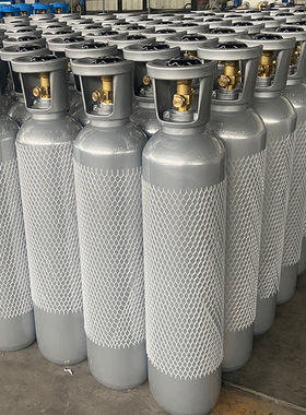 食品级二氧化碳商用气瓶10升扎啤机苏打水气泡水可乐机专用钢瓶