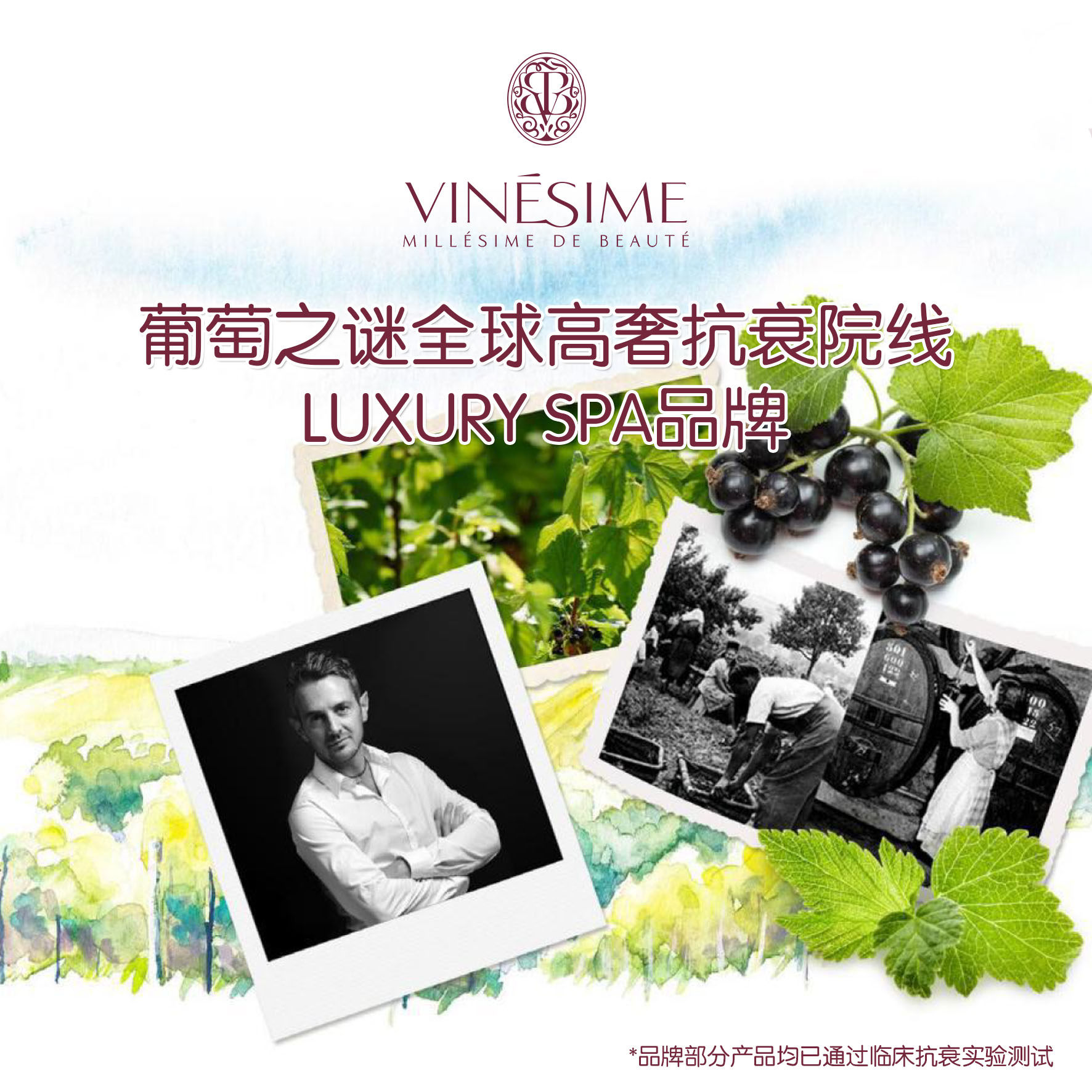 vinesime /葡萄之谜法国双相卸妆液 VINESIME海外卸妆