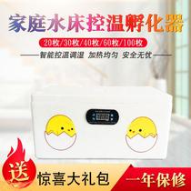 Smart Water Bed Incubators Dual Power Supply Home Type Thermostatic Hatching Box Chickens Duck Goose Peacock Quail Small Hatching Machine
