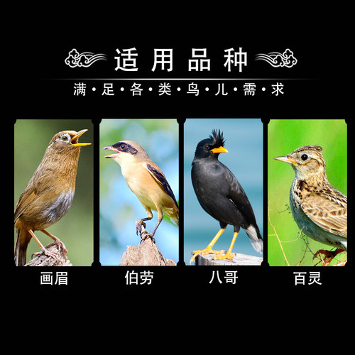 画眉饲料鸟粮提性壮膘画眉鸟食专用营养粮斗鸟打鸟料鸟饲料4.5斤 - 图1