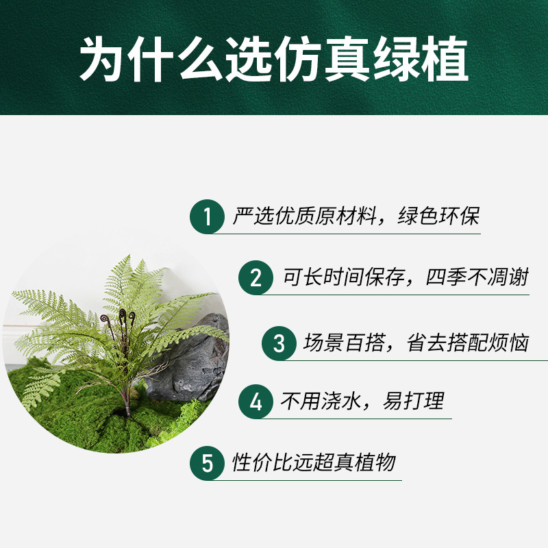 新款仿真绿色植物 装饰造景室内软装单支花蕨类小植物 草束微景观