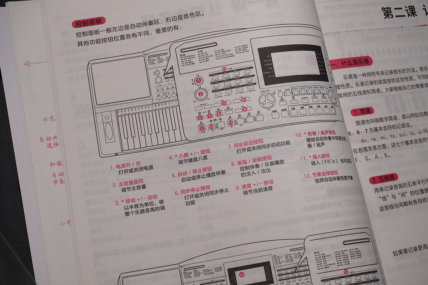 2023更易上手流行电子琴超精选198首流行歌曲抖音神曲大音符指法弹唱教程书籍简谱五线谱歌曲集钢琴书 初学者电子琴自学入门教材 - 图2