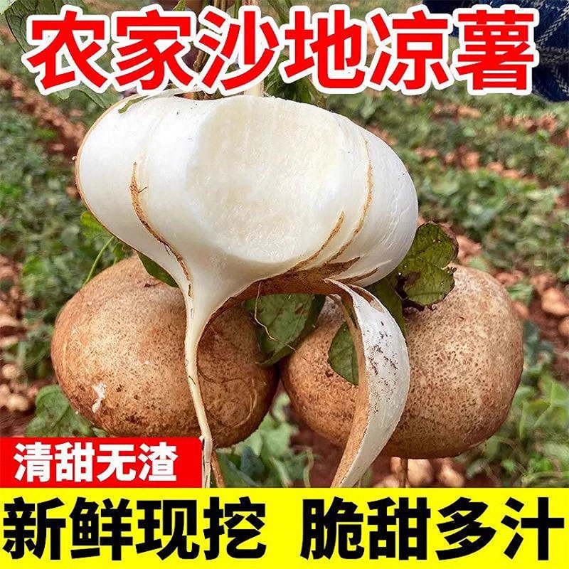 广西凉薯9斤应季地瓜新鲜番薯农家自种白心地瓜整箱大凉薯包邮 - 图1