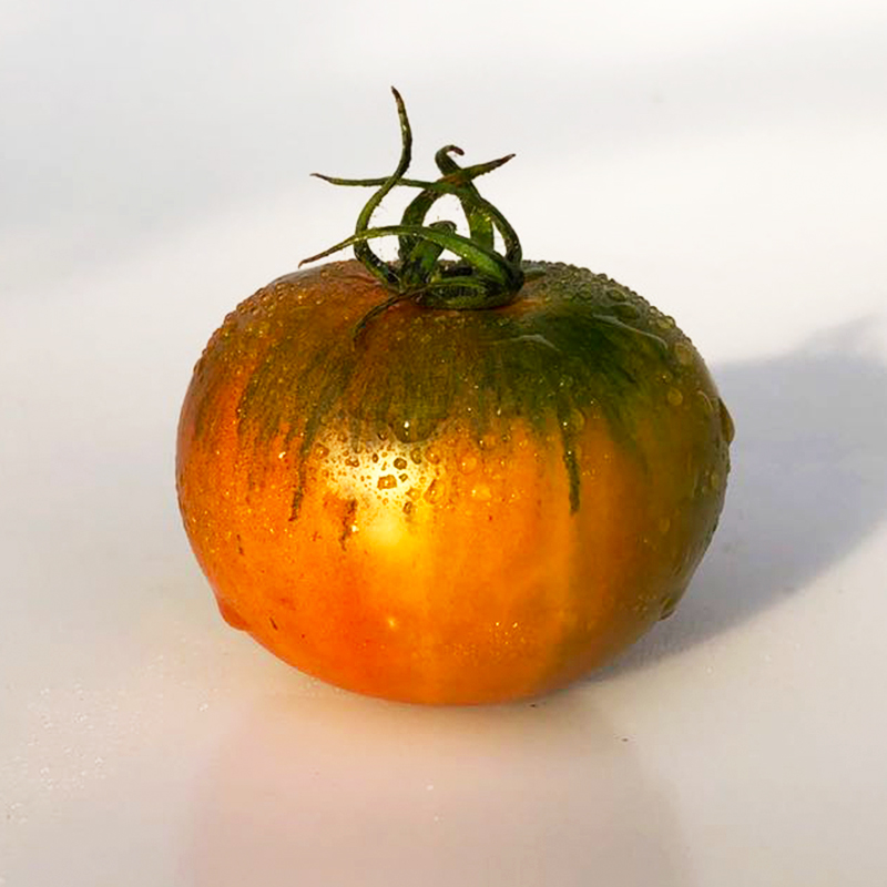 丹东铁皮草莓柿子5斤自然熟西红柿新鲜番茄盘锦碱地柿子包邮 - 图3