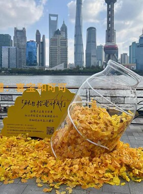 秋日银杏叶许愿瓶网红打卡摆件