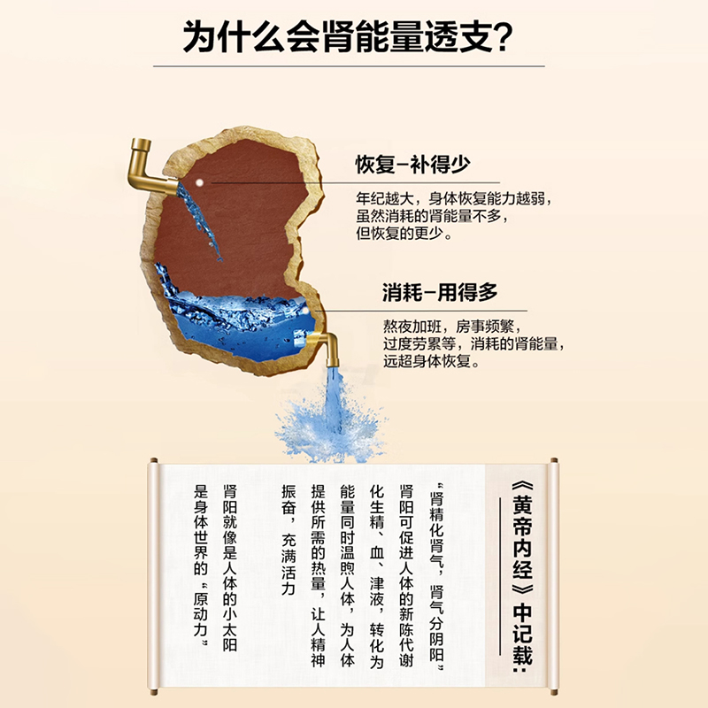汇仁肾宝片126片男士调理身体女用壮阳补肾药男用官方旗舰店正品