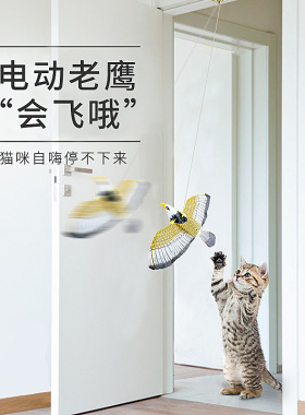 老鹰挂门猫玩具会飞的鸟电动逗猫悬挂发声飞鸟逗猫棒猫咪自嗨解闷