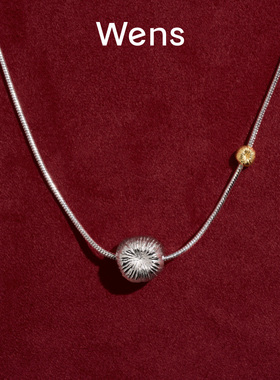 Wens花火拉丝短项链女小众高级感百搭项链