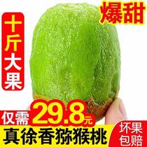 Shaanxi County When Xu Shanqi Exotic Fruits Fresh Season West Fruit 10 Catty Green Heart Chic Exotic Fruit Muddy Peach Whole Box