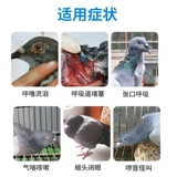 爱睿牧气馕青 天然植物 呼吸道打呼咕噜甩鼻啰音怪叫缩头鸽子用