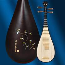 Manufacturer Childrens fh pipa instrument beginology introductory practice hardwood pipa harmonica straight for 911