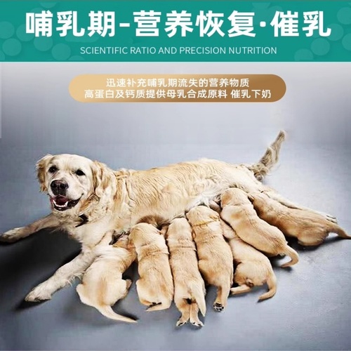 狗粮怀孕期产后哺乳期专用粮母犬狗妈妈坐月子餐下奶增奶营养狗粮