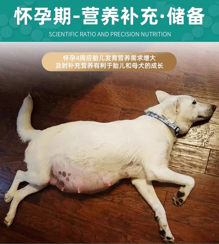 母犬哺乳期狗粮月子餐怀孕期狗妈妈产后营养补品催增下奶专用粮食