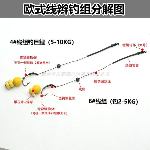 鲤鱼钓组  欧鲤钓欧式钓法海竿抛杆湖库钓鱼飞德珠珠返底钓法巨物 - 图1
