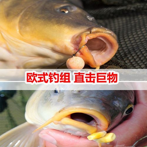 欧式钓组反底钓法欧鲤钓浮球钩组海竿抛杆成品线组野钓大草鲤鱼 - 图1