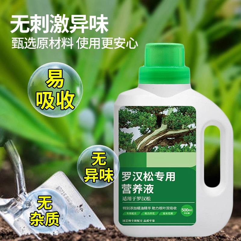 罗汉松营养液肥料专用肥泰山松雀舌四季大阪松树盆景盆栽通用型肥 - 图1