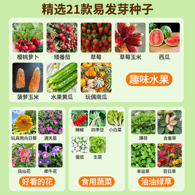 阳光房种植儿童小学生科学实验套装植物观察种菜女孩玩具生日礼物,淘宝优惠券,粉丝福利购,淘宝优惠卷