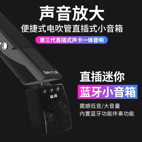 蓝音10W电吹管专用音箱直插式监听内录直播乐器音响雅佳华魅通用 - 图2