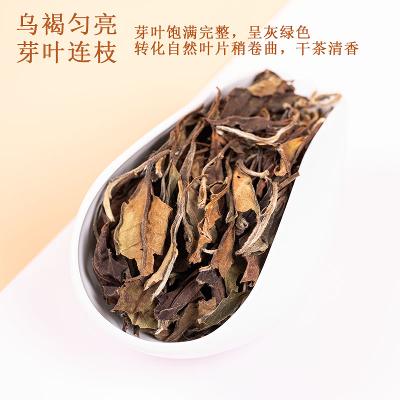 八闽黄师傅黄师傅的好茶福鼎白茶高山日晒老寿眉2017年白露茶散茶 - 图0