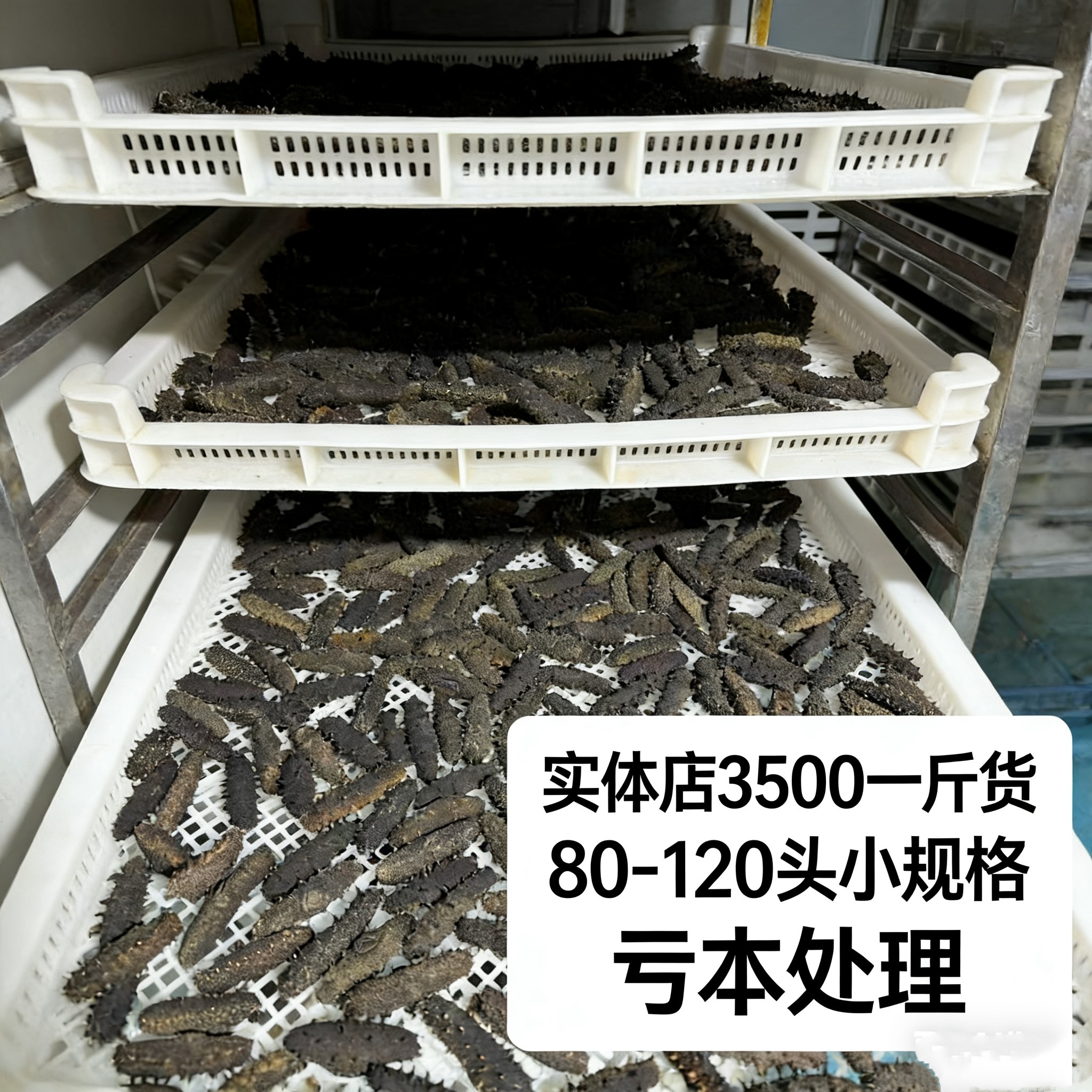 大连淡干海参辽参刺参干货特价批发小规格清仓价