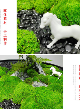 现代高档酒店转盘大圆桌摆件永生青苔微景观餐桌桌面摆台软装饰品