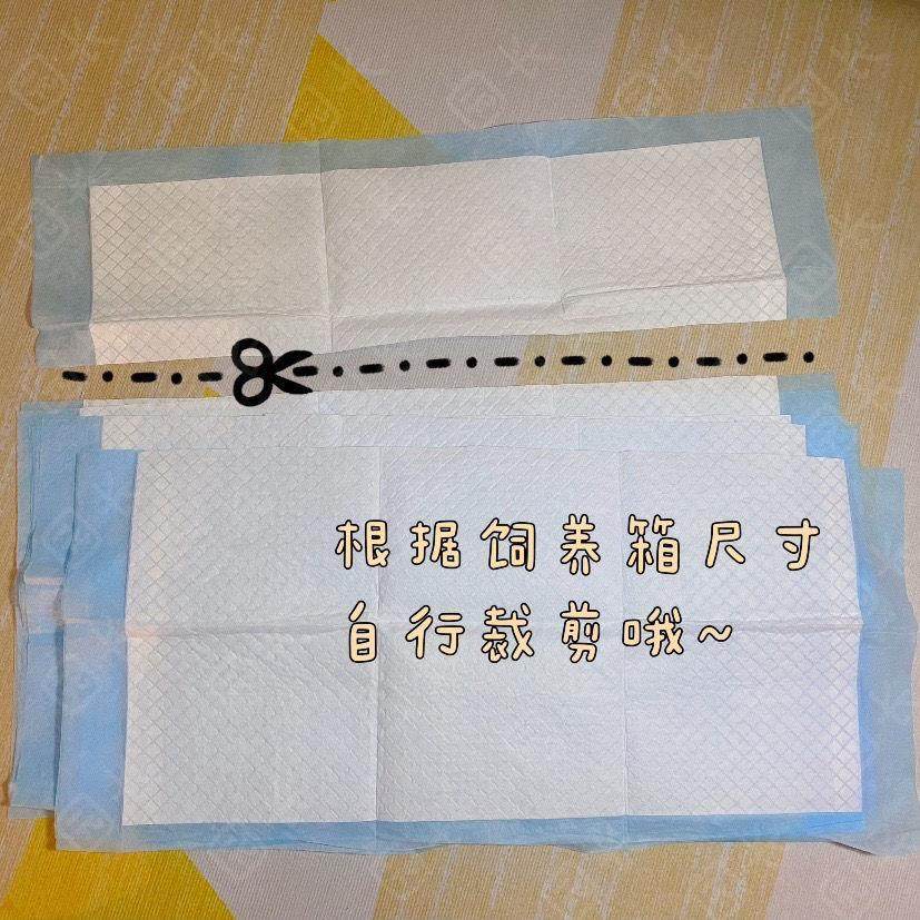 芦丁鸡1-10日龄幼鸡保温箱育雏隔尿垫强力吸水易打理大尺寸尿垫,淘宝优惠券,粉丝福利购,淘宝优惠卷