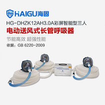 Sea-solid HG-DHZK12AH3 0A1-4 people electric air supply type long pipe with suction device 3 people suit