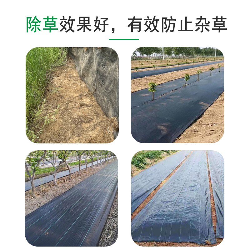 抗老化编织布大棚果园农用防草布黑色pp除草布盖草地膜透气保湿