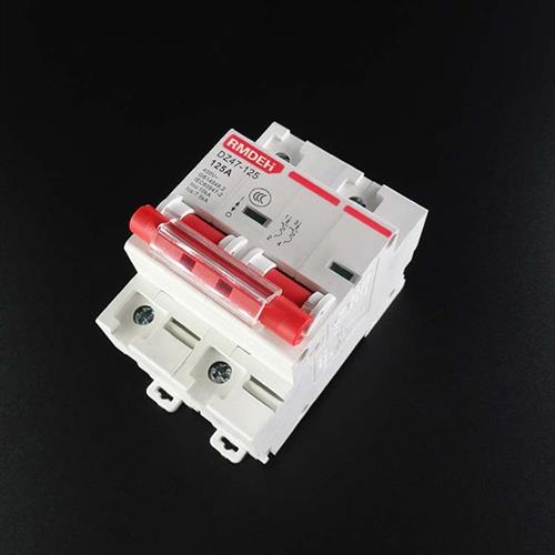 DZ47-125大电流2P大功率100A小型断路器125A空气开关80A安 63A安 - 图1